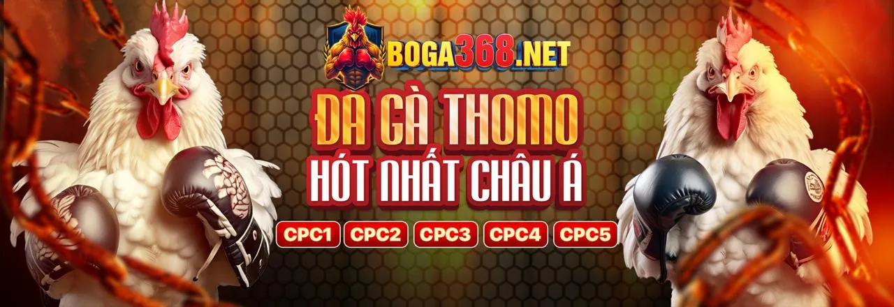 Mẹo cá cược hiệu quả 312winvn