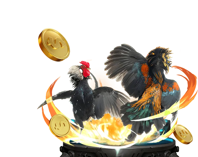 Các tính năng nổi bật của nền tảng đá gà 312winvn